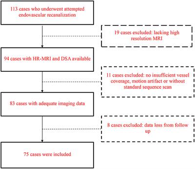 Imaging Predictors for Endovascular Recanalization of Non-acute Occlusion of Internal Carotid Artery Based on 3D T1-SPACE MRI and DSA